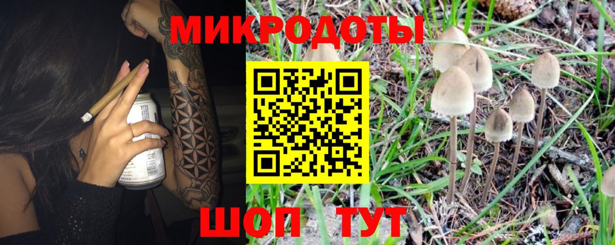 Галлюциногенные грибы Psilocybe Миасс